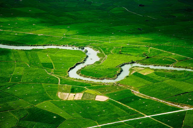 Cánh đồng Bắc Sơn.
