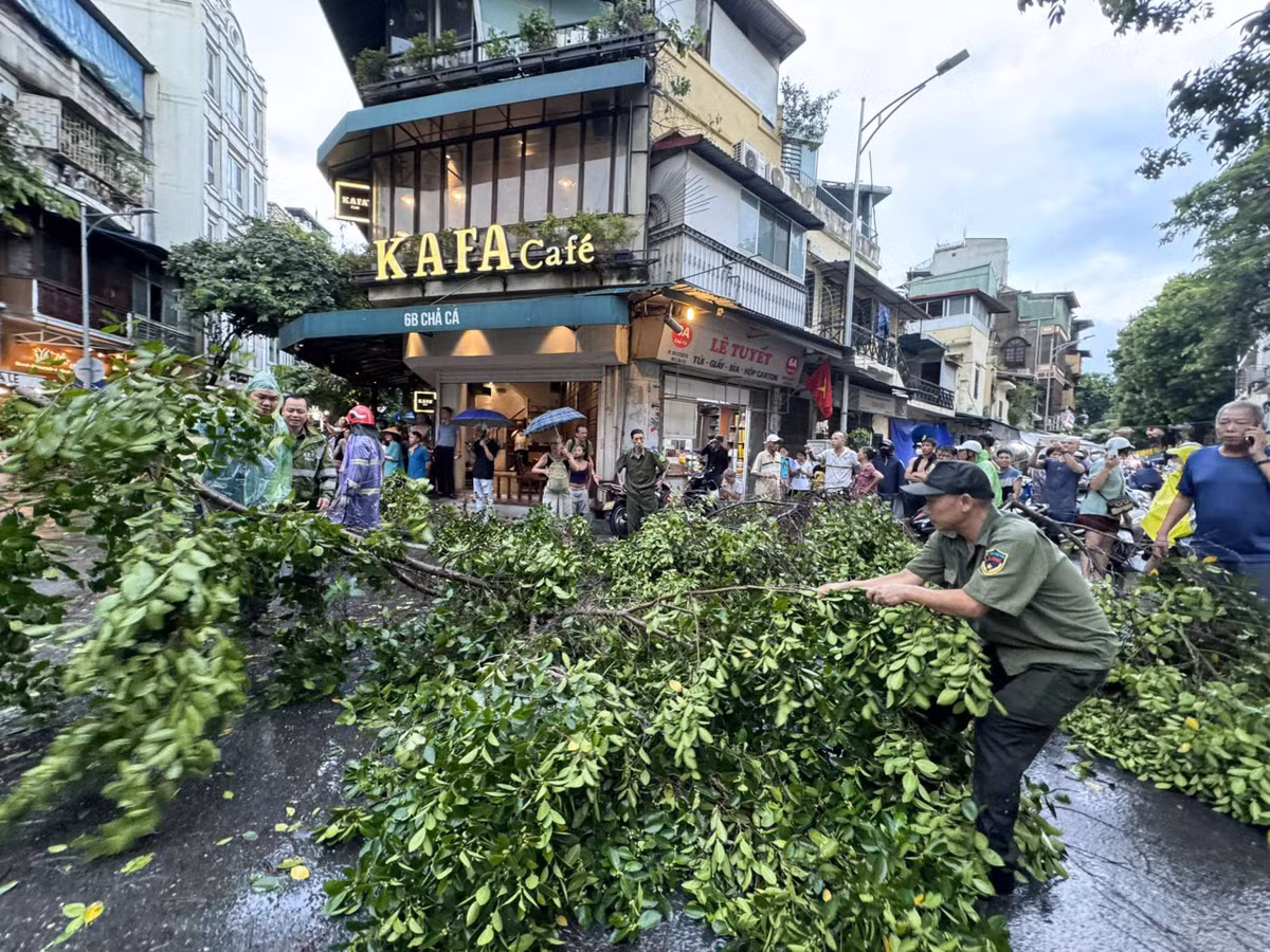 Nhiều nút giao thông bị chặn đứng vì cây đổ.