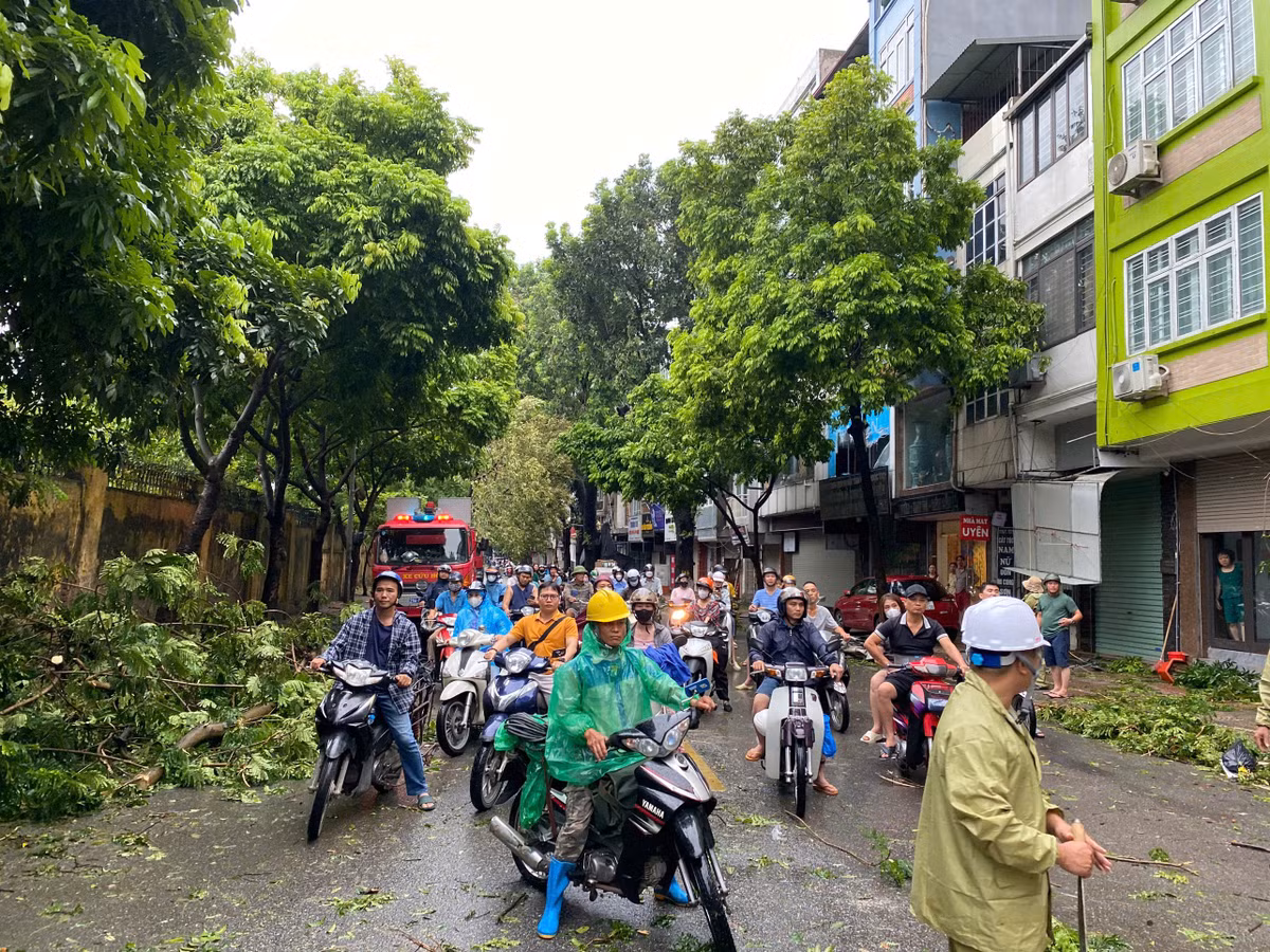 Phương châm ứng phó bão số 3 vẫn là "bốn tại chỗ", nhưngBì thư Thành ủy lưu ý với lãnh đạo các địa phương trên địa bàn là phải tiến hành một cách thực chất theo nhiệm vụ, thẩm quyền được giao , gồm chỉ huy tại chỗ; lực lượng tại chỗ; phương tiện, vật tư tại chỗ; hậu cần tại chỗ, không để bị động, bất ngờ với các tình huống.
