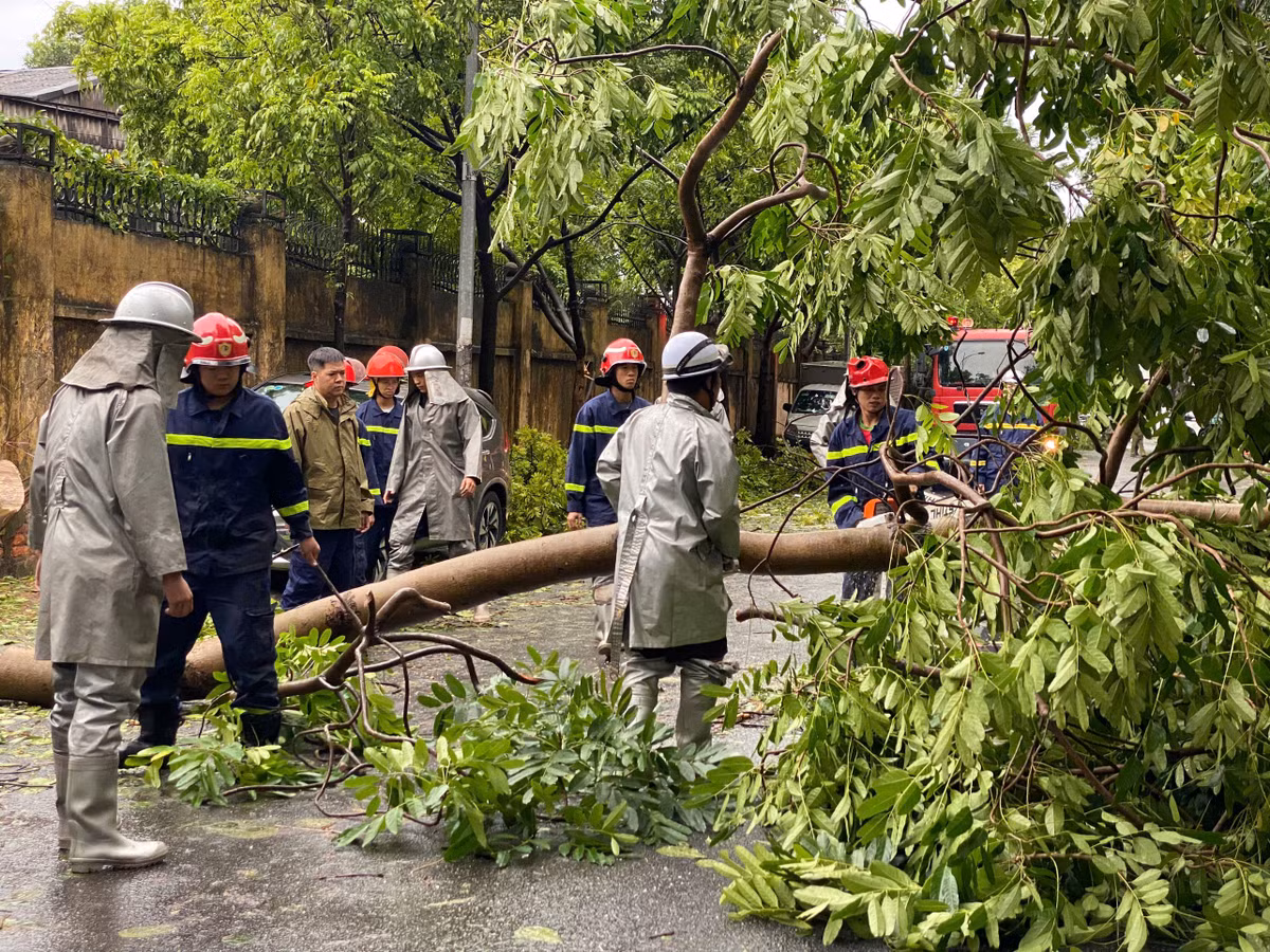 Theo báo cáo của Công an Hà Nội, tính đến thời điểm 22h00’ ngày 7/9/2024, Lực lượng Cảnh sát PCCC Công an Thành phố và Công an các đơn vị đã tiếp nhận, giải quyết gần 200 tin báo, trong đó có hơn 154 vụ cứu nạn cứu hộ do ảnh hưởng của bão Yagi gây ra (như: cây đổ, gãy, lật, bay mái nhà,…) trên địa bàn Thành phố.