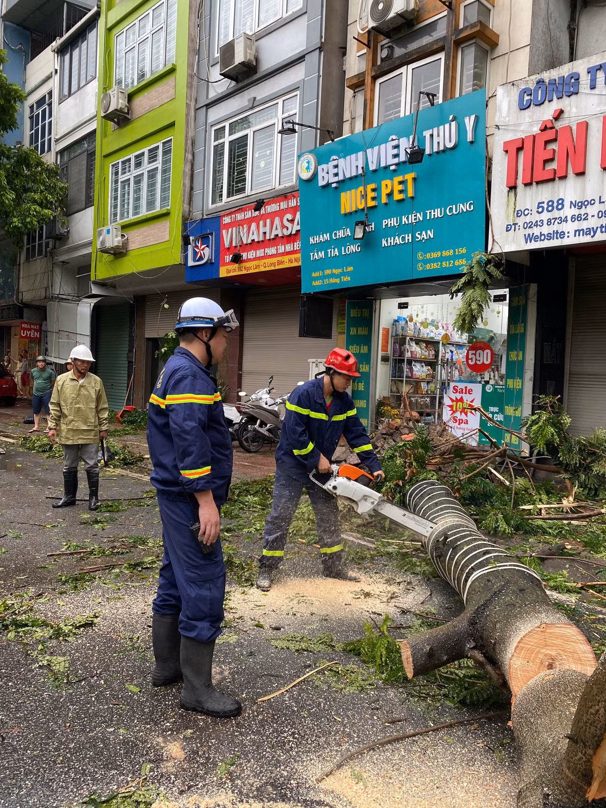 Theo thống kê chưa đầy đủ, toàn thành phố có 2.455 cây đổ và 273 cành gãy. Cây đổ kết hợp mưa gió mạnh khiến 6 xe máy và 13 ô tô bị hư hỏng. Gió giật mạnh khiến 242 bức tường bao bị đổ. Lực lượng chức năng các quận, huyện đang tiến hành dọn dẹp hiện trường các cây xanh bị gãy, đổ...