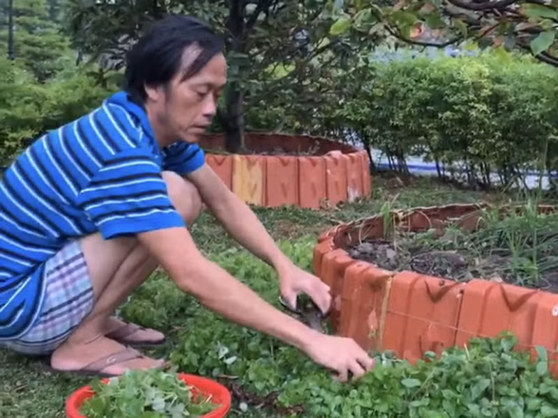 Sau những buổi đi diễn tỉnh, “ông vua phòng vé” một thời dành toàn bộ thời gian chăm chút cho nhà thờ Tổ. Hoài Linh trồng cây, thu hoạch rau củ.
