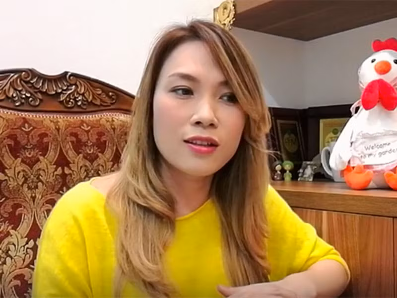 Mỹ Tâm thừa nhận, do chưa tìm hiểu kỹ để đóng tác quyền cho tác giả viết lời Việt cho ca khúc nhạc Pháp "Anh thì không" nên tạm khóa MV. Ngoài ra, Mỹ Tâm còn quay video xin lỗi khán giả và nhạc sĩ Vũ Xuân Hùng.