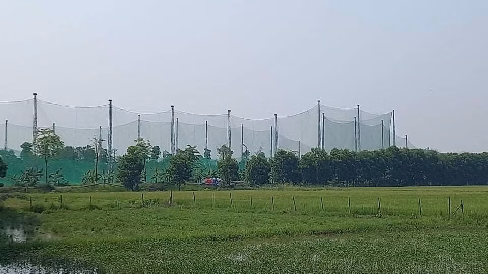 Sáng ngày 12/9/2022, UBND tỉnh Nghệ An đã có công văn hỏa tốc chưa xem xét chấp thuận về việc điều chỉnh chủ trương đầu tư dự án nuôi cá rô phi Israel công nghệ cao. (Ảnh: Công Lý).