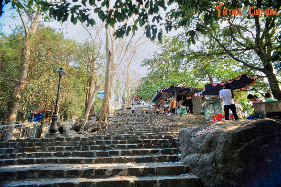 Đây là một quần thể gồm 3 núi nằm liền kề nhau là núi Heo, núi Phụng và núi Bà Đen, trong đó, đỉnh Bà Đen cao 986 mét được mệnh danh là “nóc nhà của Nam Bộ”. Ngọn núi này là điểm hành hương nổi tiếng bậc nhất mảnh đất phương Nam.