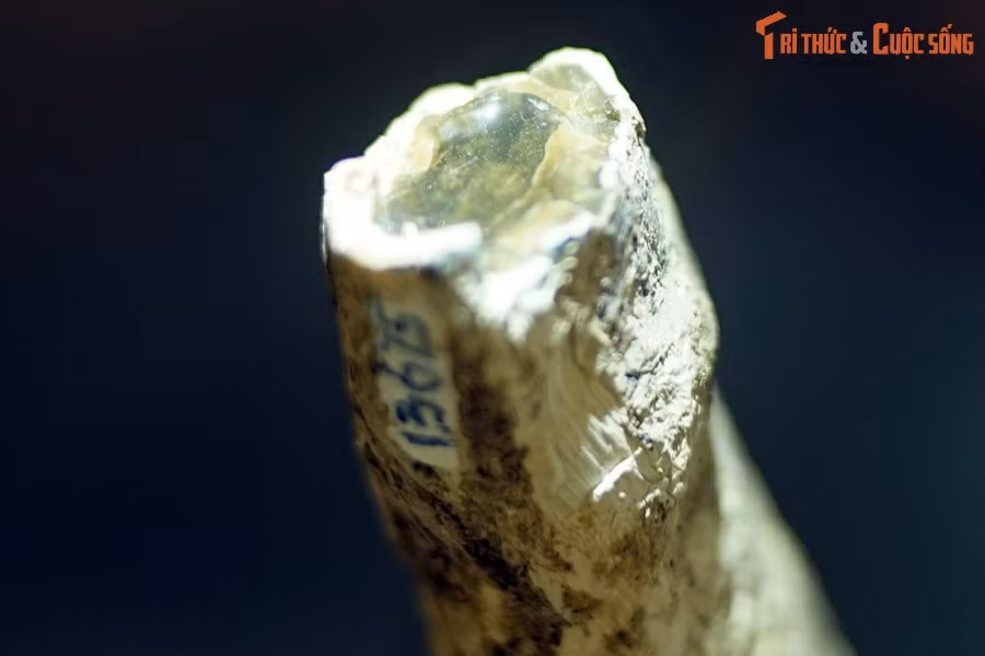 Là một dạng đá bán quý, mã não đã được con người sử dụng phổ biến trong nghệ thuật điêu khắc đá từ thời cổ đại.