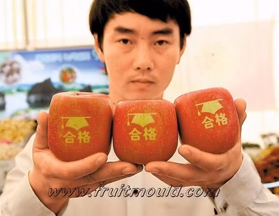 Quả táo hình vuông với các dòng chữ khắc "thi đậu" hoặc "may mắn" và được coi như những lời chúc cho các em học sinh tham dự kỳ thi đại học ở xứ sở này. Người phát triển ra giống táo vuông đặc biệt chính là ông Lee Chong Boun. Với sự hỗ trợ của Trung tâm nông nghiệp của địa phương, ông Lee đã mất 5 năm để trồng và uốn nắn được những quả táo vuông đầu tiên.