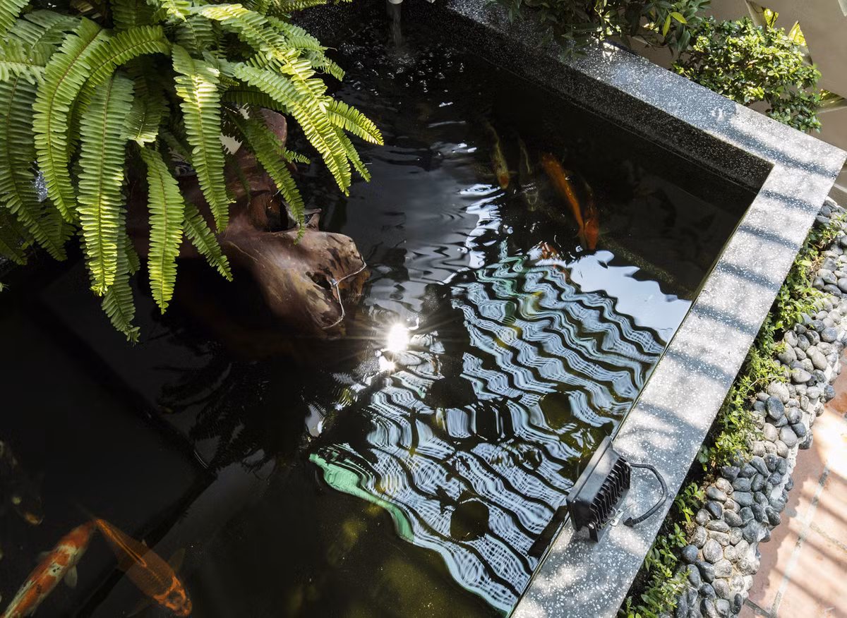 Bể cá làm mát không khí trong nhà.