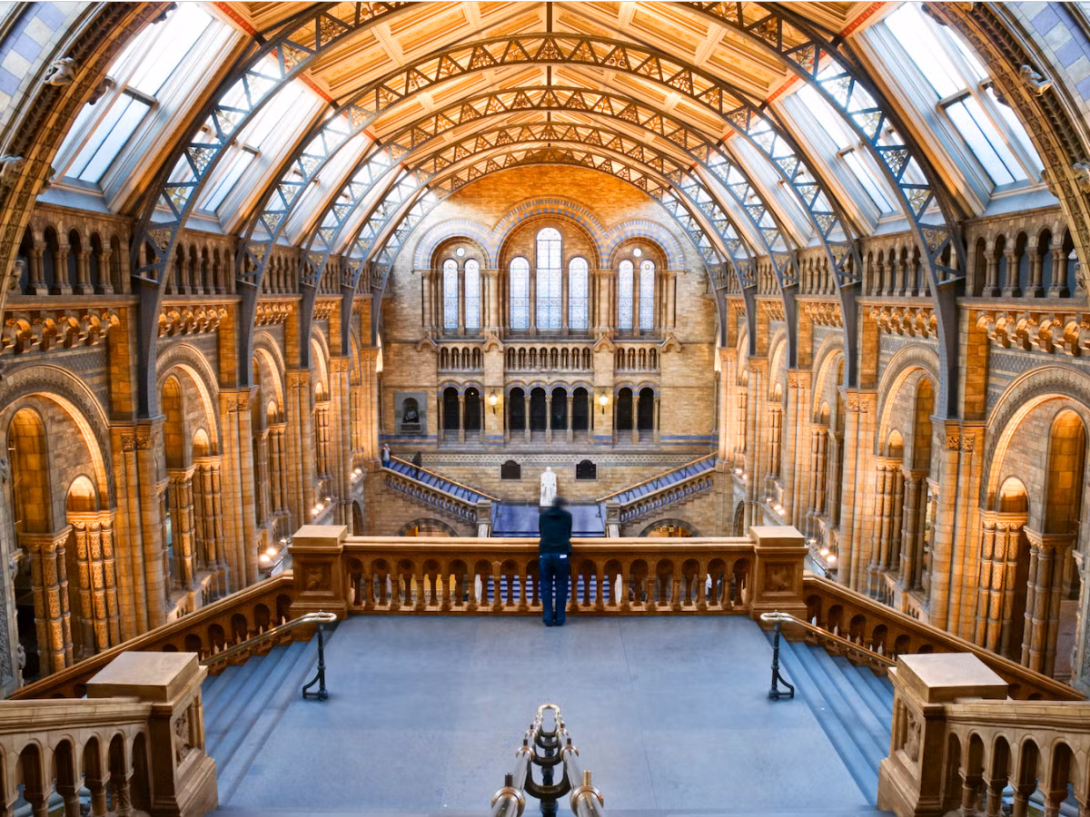 Bảo tàng Lịch sử tự nhiên London (Anh) có hang, hội trường đủ ánh sáng để chiếu sáng tới những hiện vật trưng bày bên trong.