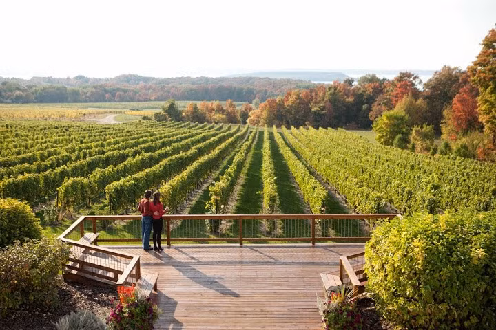 Thung lũng nho tại thành phố Traverse, Michigan (Mỹ), xếp hạng thứ 13 trong các khu sản xuất rượu vang thượng hạng của Mỹ.