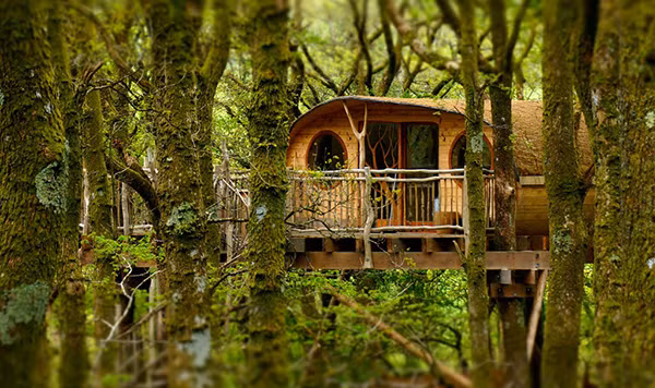Khách sạn cây ở thị trấn Machynlleth, xứ Wales, là điểm đến lý tưởng cho những gia đình du lịch có cả trẻ nhỏ.