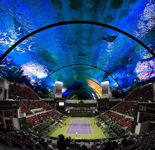 Đó sẽ là khu liên hợp với tổng cộng 7 sân tennis và phần mái vòm trong suốt giúp khán giả có thể vừa xem tranh đấu quần vợt vừa thưởng thức được thế giới đại dương trong xanh.