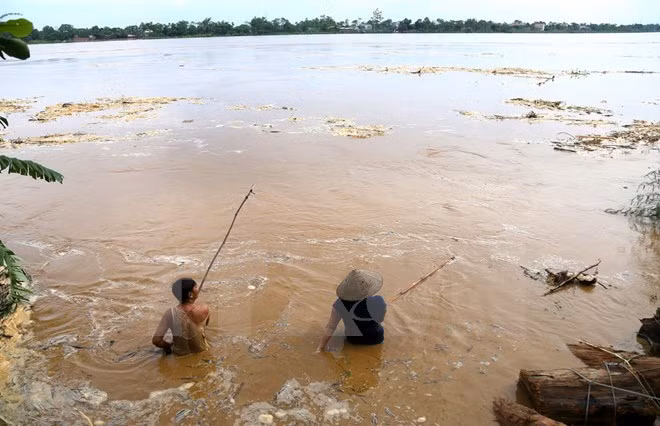 Phu Tho: Boi ra song vot cui, bi lu cuon troi