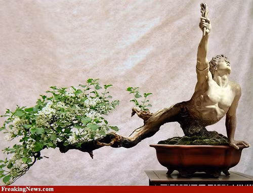 Chậu bonsai hình người khá độc.