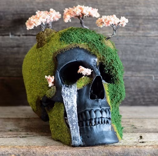 Mẫu chậu bonsai kỳ lạ hình đầu lâu do công ty của Úc Jack of Dust tạo ra.