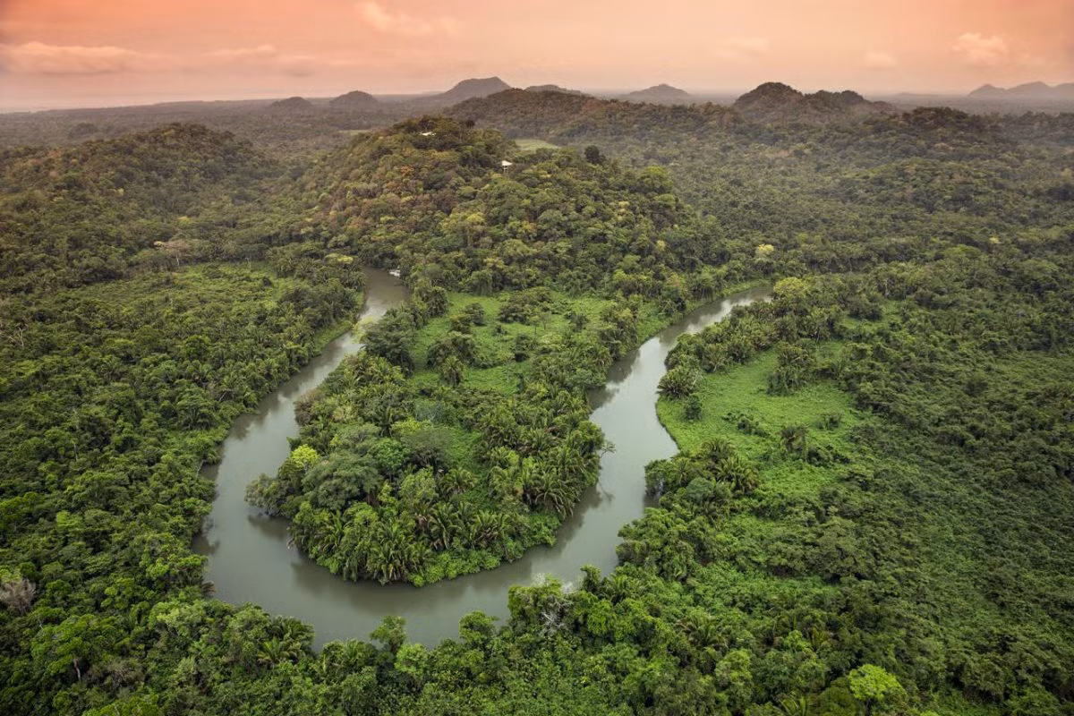 Khách sạn sang trọng Belcampo Belize được xây dựng trong một khu bảo tồn thiên nhiên rộng lớn ở Toledo, Belize (một quốc gia ở Trung Mỹ). Nằm trên ngọn đồi cao, khách sạn gồm 16 dãy phòng riêng với tầm nhìn tuyệt đẹo ra khu rừng nhiệt đới.