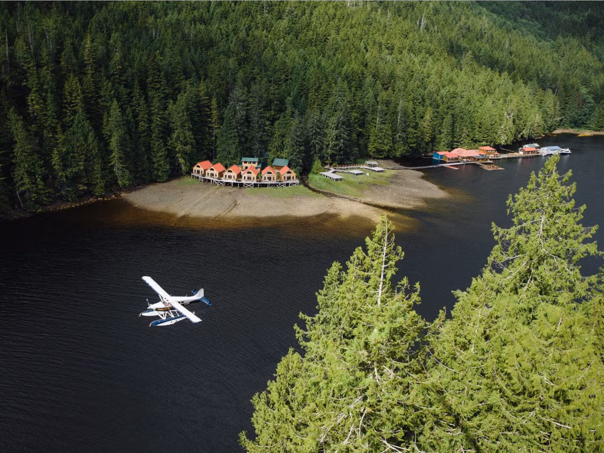 Nằm ở giữa rừng nhiệt đới Great Bear ở British Columbia, Canada, Nimmo Bay Wilderness Resort là khu nghỉ dưỡng sang trọng và yên bình. Với 9 cabin có cảnh quan tuyệt đẹp của vịnh bao quanh, khu nghỉ mát cung cấp các chuyến du ngoạn như thưởng thức bữa ăn trưa trên đỉnh các sông băng và các tour du lịch hoang dã trực thăng.
