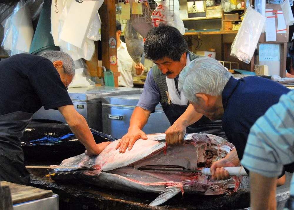 Chợ cá Tsukiji có 2 khu vực, bên trong chợ và bên ngoài chợ. Bên trong chợ là khu vực các cửa hàng kinh doanh ăn uống hay đến để mua nguyên liệu, bên ngoài chợ là nơi dành cho khách tham quan.