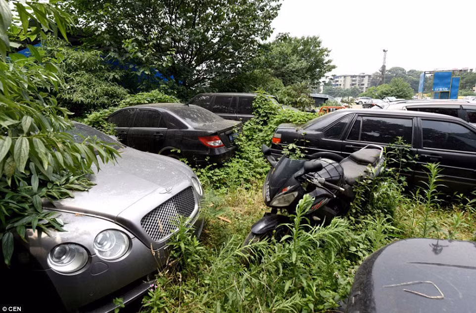 Bên trong nghĩa địa xe hơi này có rất nhiều chiếc siêu xe đắt giá gồm ít nhất hai chiếc Bentley, hai chiếc Land Rovers, ba chiếc Mercedes Benz và thậm chí có cả xe máy.