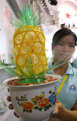 ...hay cây cảnh.