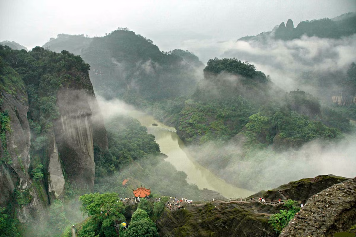 Dai hong bao, tra dat xat ra mieng-Hinh-3