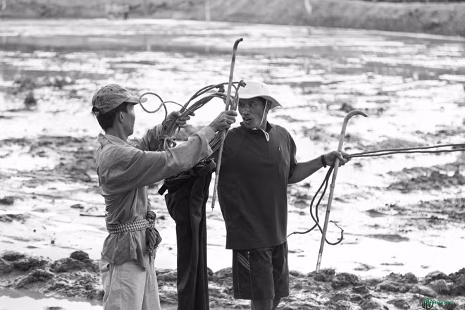 Các nài bò trao đổi thông tin, kinh nghiệm.