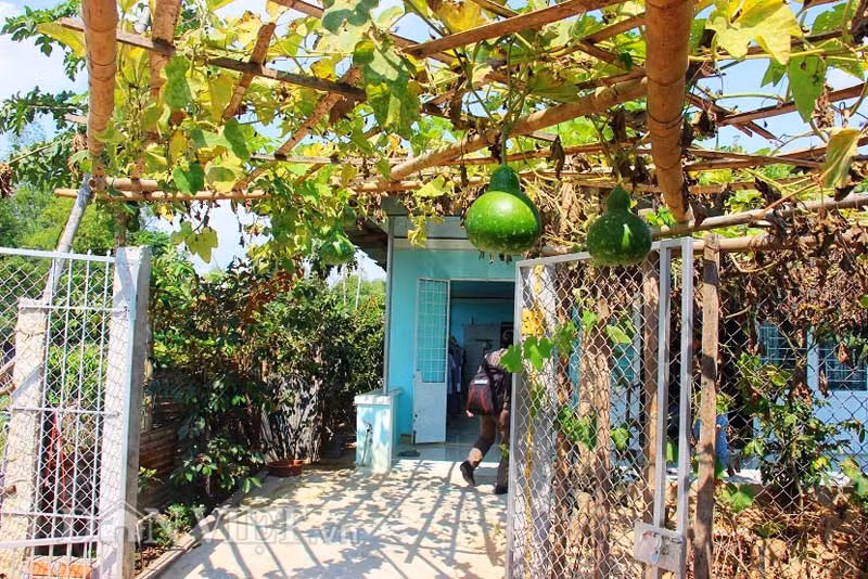 Không chỉ tạo vẻ đẹp cuốn hút, giàn bầu còn là nơi che bóng mát cho gia đình ông Lam mùa nắng nóng.