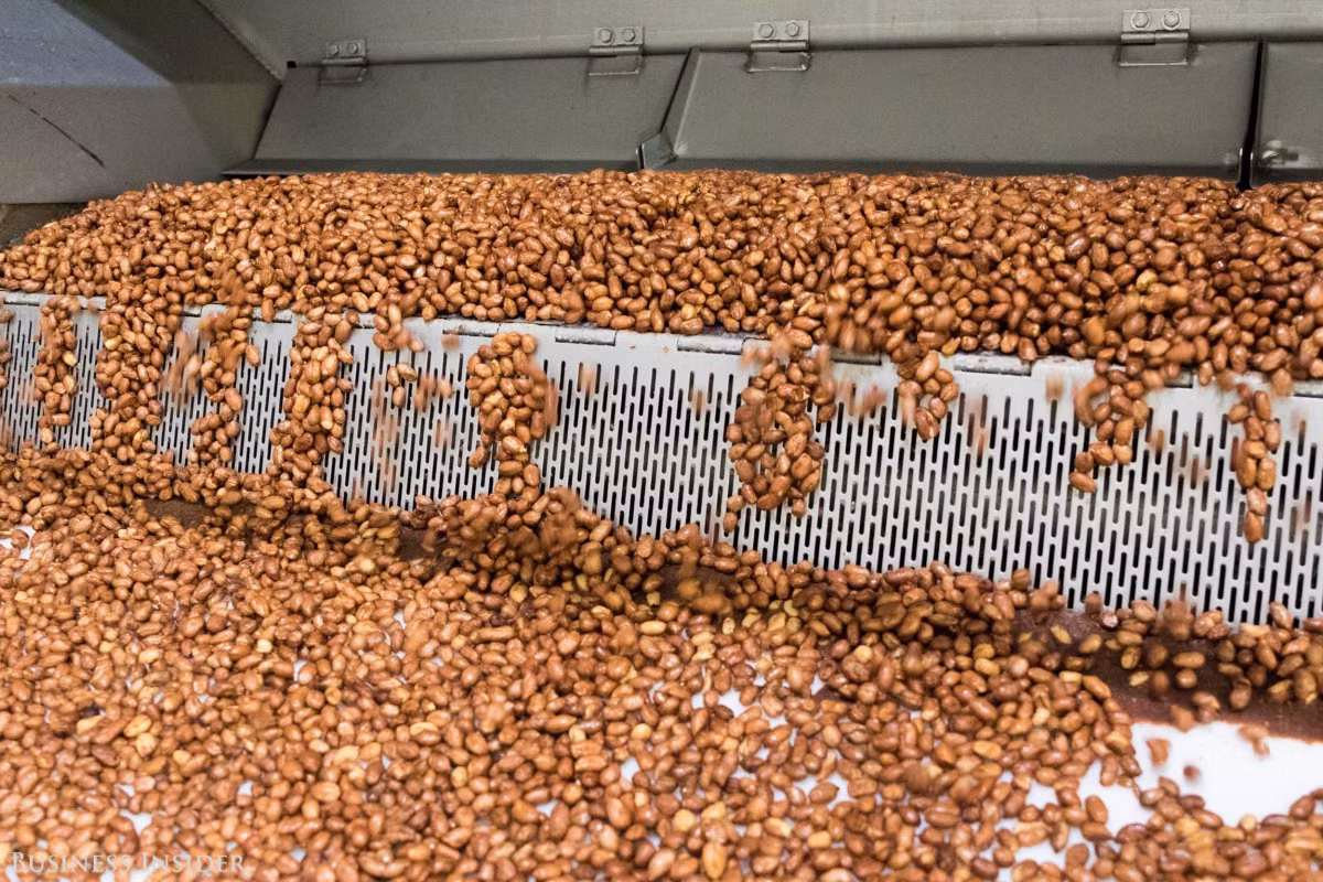 Đối với đậu phộng M&amp;M, các hạt đậu đi qua một quá trình rang. Sau đó, chúng được phun socola ba lần để tỷ lệ hoàn hảo.