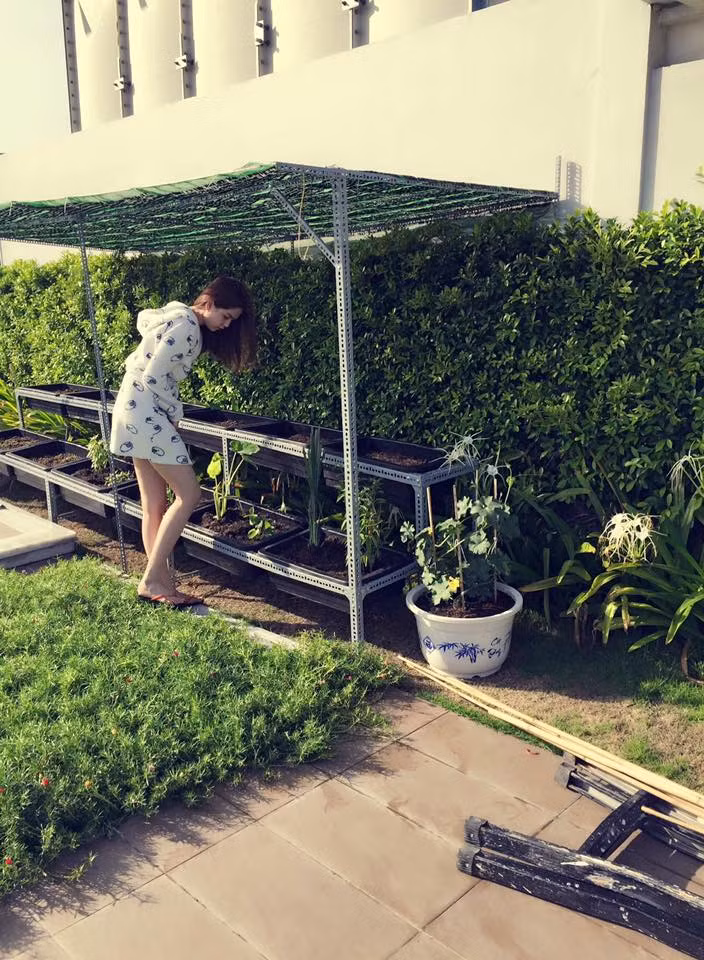 Ngọc Trinh rất thích thú với việc tự tay chăm sóc vườn rau và còn đăng tải hình ảnh vườn rau nhỏ của mình lên trang Facebook cá nhân.