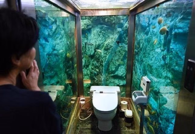 Thủy cung ngay trong toilet.