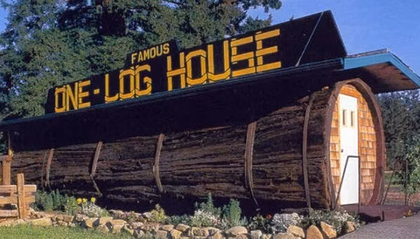 9. Nhà hình khúc gỗ, California: Ngôi nhà này được làm từ thân cây gỗ 100 năm tuổi tại Garberville, California có duy nhất một phòng ngủ. Cây gỗ nặng tới 42 tấn, chiều cao lên tới 10m.