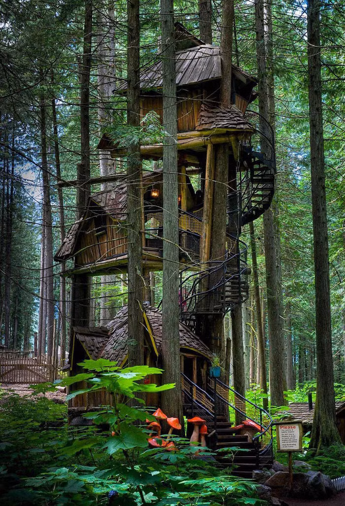 Một ngôi nhà cây tuyệt đẹp ở British Columbia, Canada.