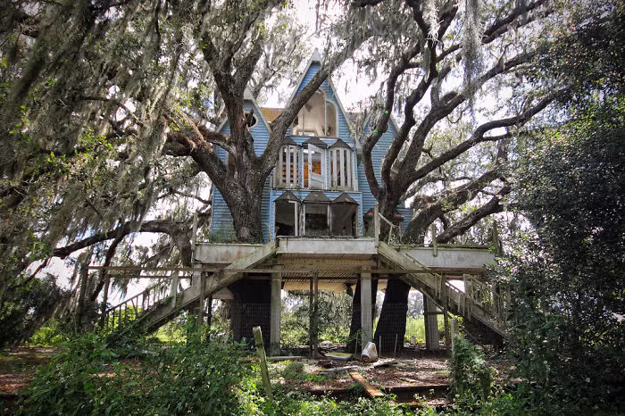 Nhà cây bỏ hoang ở phía đông nam bang Florida, Mỹ.