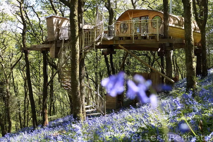 Nhà cây ở xứ Wales, Anh (do kiến trúc sư Peter Canham thiết kế).