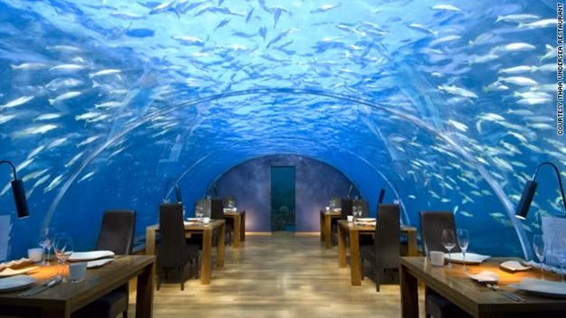 Nhà hàng dưới biển – Ithaa, Maldives: Ở Ithaa, các cặp đôi có thể được trải nghiệm cảm giác dùng bữa tại nơi sâu 5m so với mực nước biển. Bạn sẽ được tận mắt nhìn thấy những chú cá bơi qua bơi lại ngay trên đỉnh đầu khi thưởng thức bữa tối tại nhà hàng.