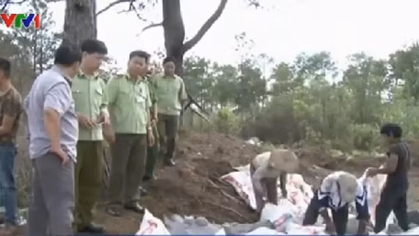 Ban chỉ đạo An toàn vệ sinh thực phẩm TP. Vũng Tàu (Bà Rịa – Vũng Tàu) đã tổ chức đoàn kiểm tra các cơ sở buôn bán hải sản tươi sống tại các chợ, cơ sở kinh doanh thức ăn đường phố trên địa bàn, qua đó đã phát hiện và tiêu hủy gần 100 kg hải sản chứa hàn the.