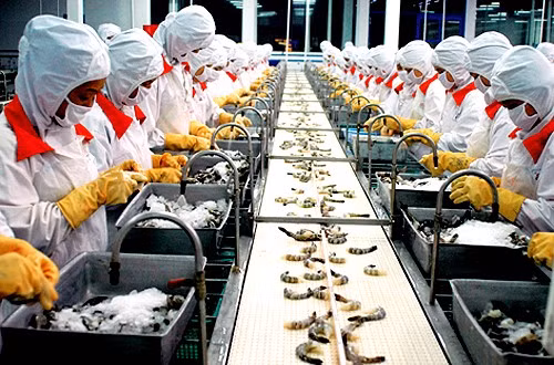 Kết thúc năm 2015, MPC chỉ đạt 12 tỷ đồng, giảm 99% cùng kỳ và thực hiện chỉ chưa đầy 1% kế hoạch đặt ra trước đó, là 1.416 tỷ đồng. Sau khi trừ thuế thu nhập doanh nghiệp, Minh Phú lỗ ròng gần 7 tỷ đồng, trái ngược với mức lãi 921 tỷ đồng của năm trước đó. Quý 1/2016 lãi của công ty giảm 33% so với cùng kỳ.