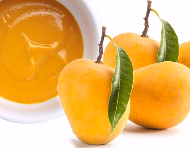 Giống xoài ngon nhất thế giới này được trồng lần đầu vào năm 1931 ở chân đồi Girnar tại Ấn Độ.