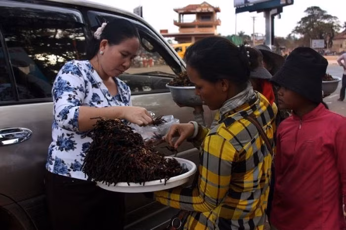 Dù vậy, món nhện chiên tại chợ côn trùng là đồ ăn khoái khẩu của người dân bản địa Campuchia.