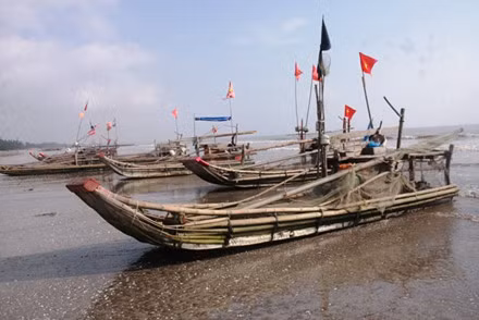 Dau nam ngu dan trung hang tram trieu nho “loc troi”-Hinh-2