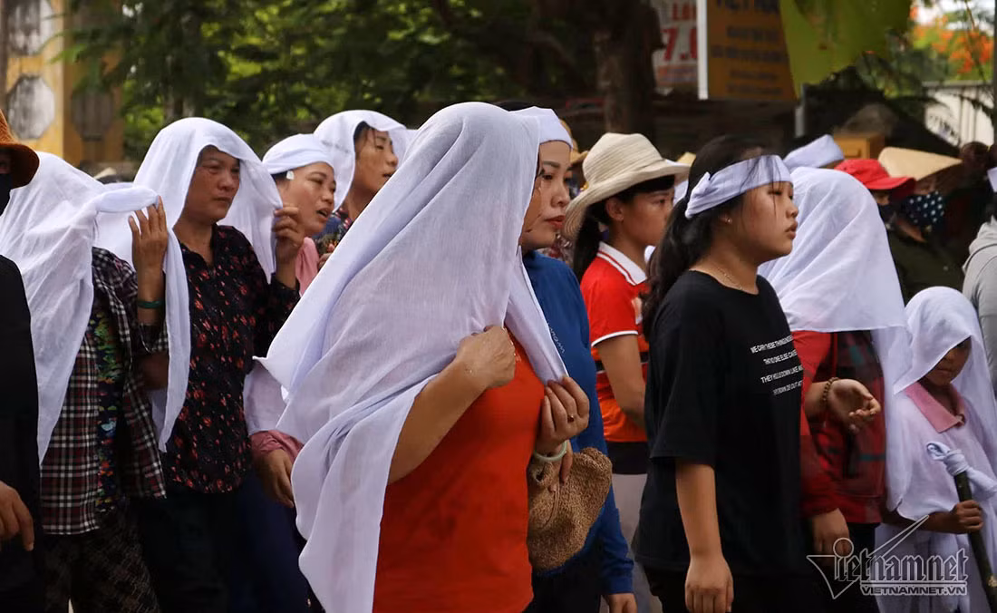 Chim tau ca o Bach Long Vi, trang khan tang tien nan nhan ve dat me-Hinh-5