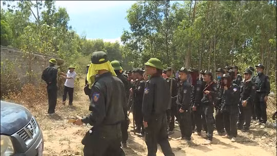 Hang loat vu chay rung o Quang Binh, Nghe An, Ha Tinh-Hinh-2