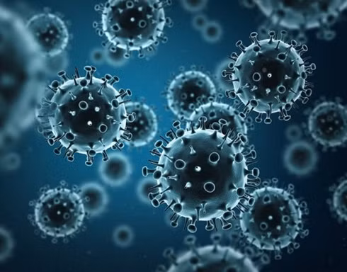 9 nguoi tu vong do cum lon H1N1 o Maroc