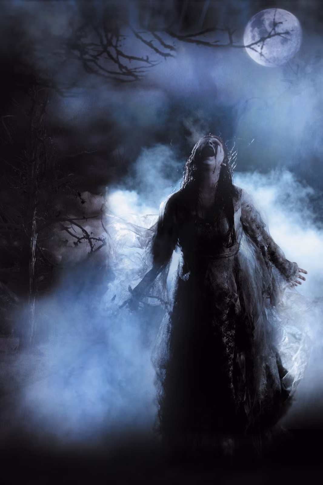 Khi ma nữ Banshee di chuyển từ địa điểm này sang địa điểm khác thì người ta sẽ nghe thấy âm thanh bí ẩn giống như tiếng chim đang bay.