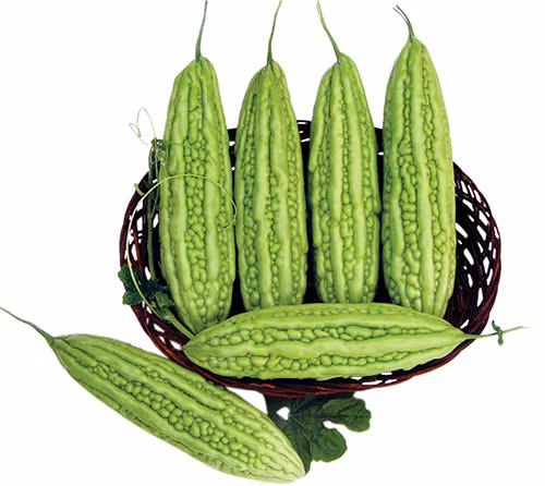 Giải nhiệt cơ thể bằng thực phẩm có tính hàn Giai nhiet co the bang thuc pham co tinh han