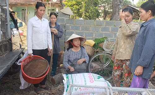 Chan dung hai “nu tuong” ban Muong o Hoa Binh-Hinh-3