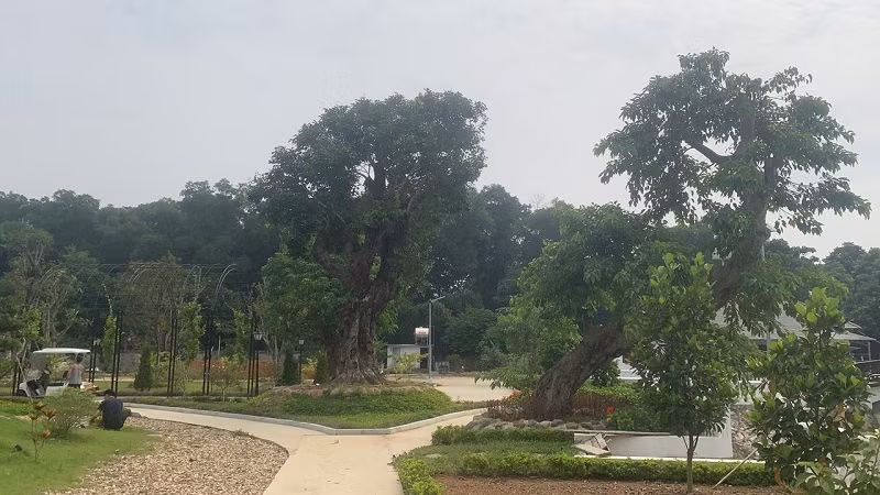 Thach That, Ha Noi: Du an nuoi trong thuy san bien tuong... “trang vien nghi duong”?-Hinh-2