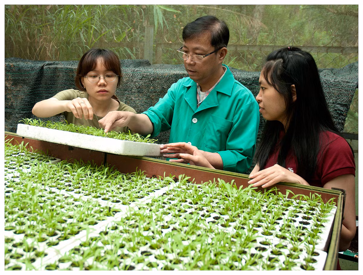 GS.TS Duong Tan Nhut nguoi nhan giong thanh cong nhieu giong hoa Da Lat-Hinh-3