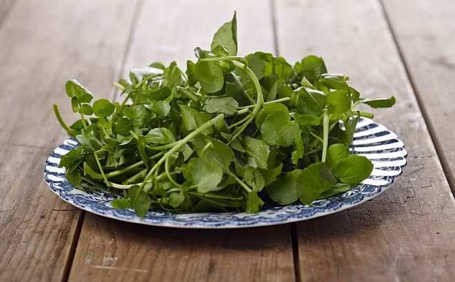 Chuyên gia dinh dưỡng Joanna Gregg nói thêm: “Với đặc tính chống oxy hóa mạnh, lợi ích của cải xoong bao gồm cả giảm tổn thương mô liên quan đến sự phát triển của một số bệnh ung thư. 