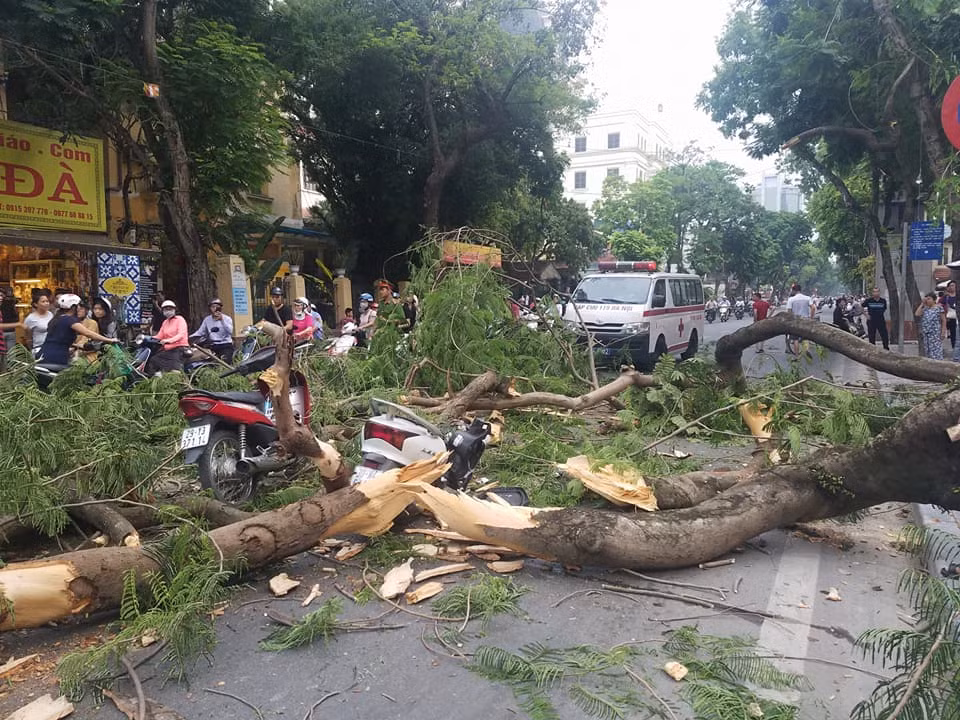 Tại hiện trường vẫn còn ngổn ngang cành cây phượng đè bẹp, hư hỏng hai xe máy.